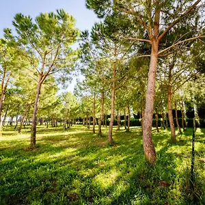 Bio San Mamiliano Aparthotel